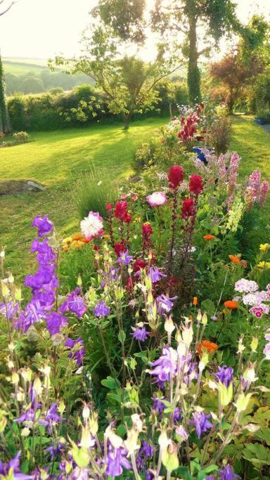 Horsna Parc Retreat Bed & Breakfast Saint Tudy Luaran gambar